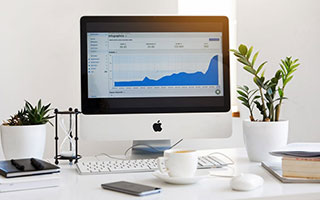 黄金甲体育：用实力与态度点亮每一个运动日